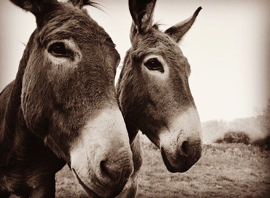 绝命毒师电影：续命之徒剧照的剧照