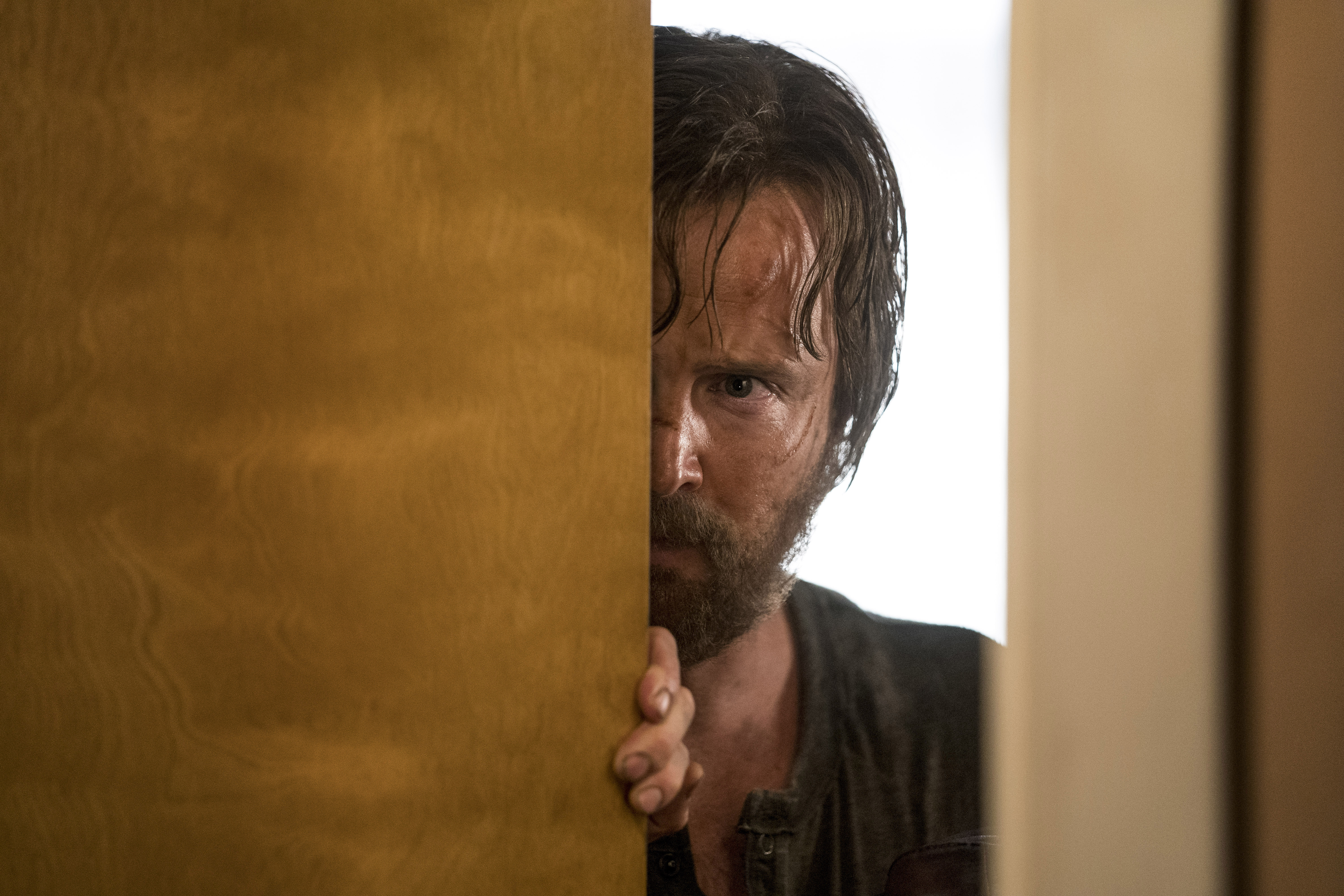 绝命毒师电影：续命之徒剧照的剧照