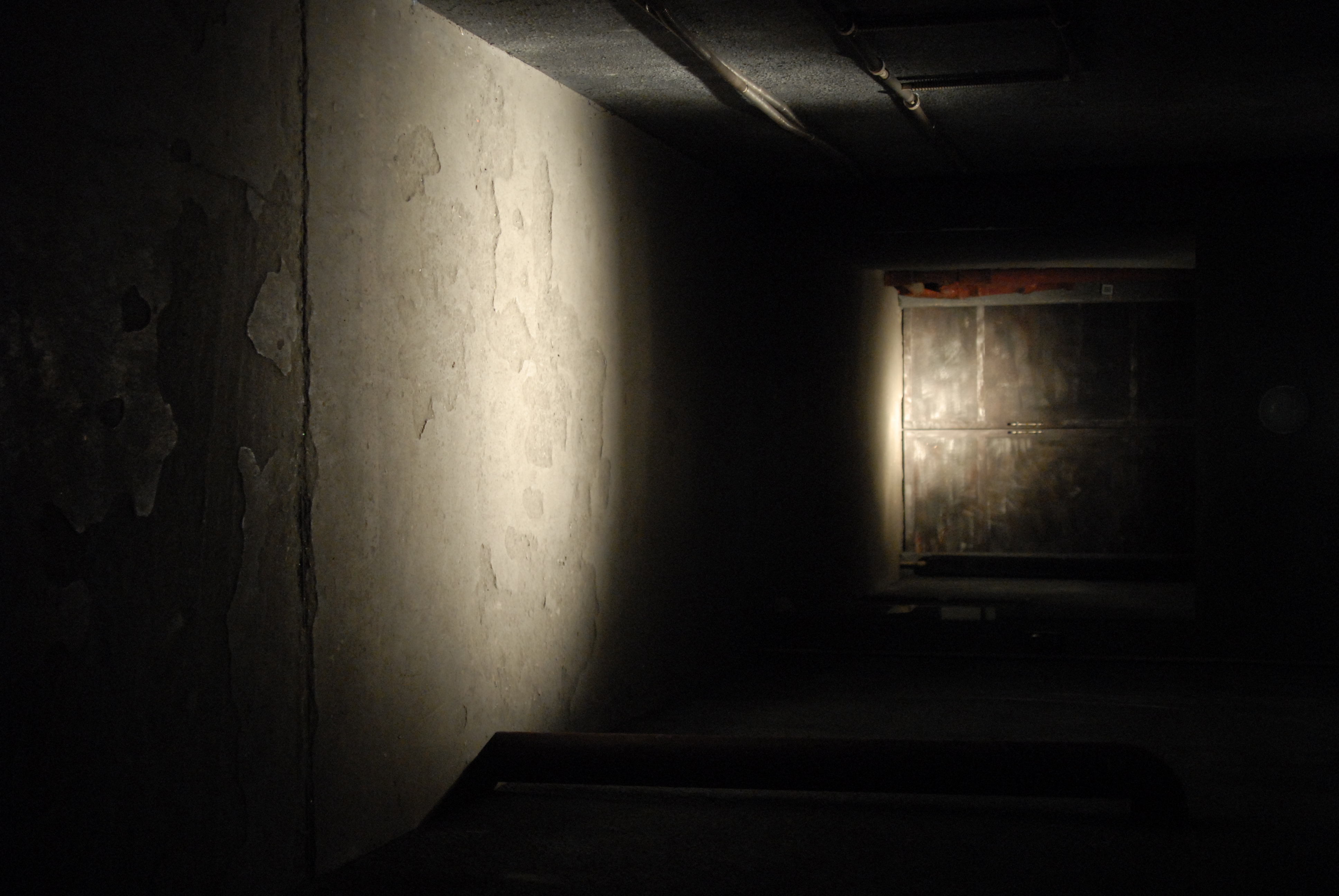 无间罪：僵尸重生剧照的剧照