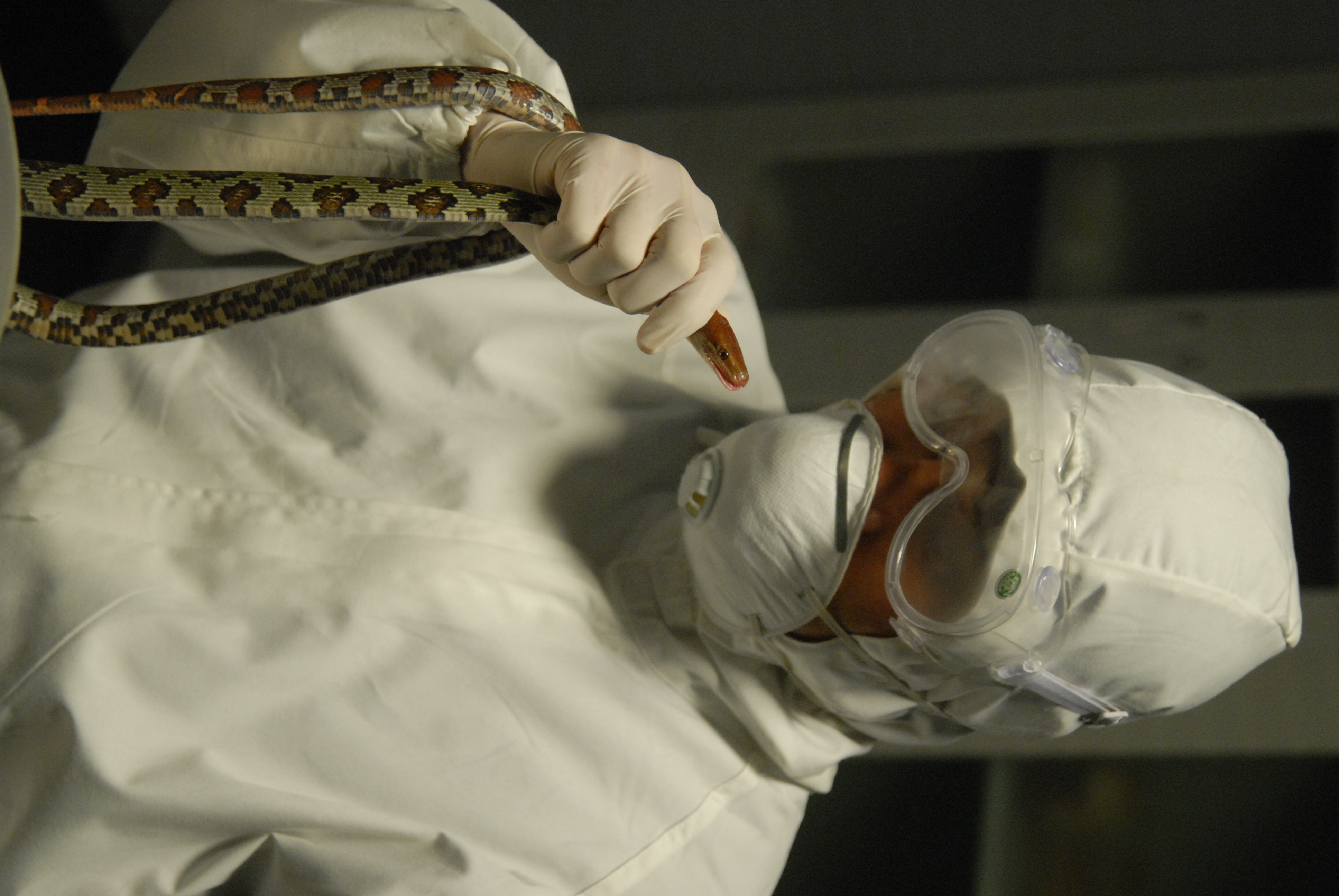 无间罪：僵尸重生剧照的剧照