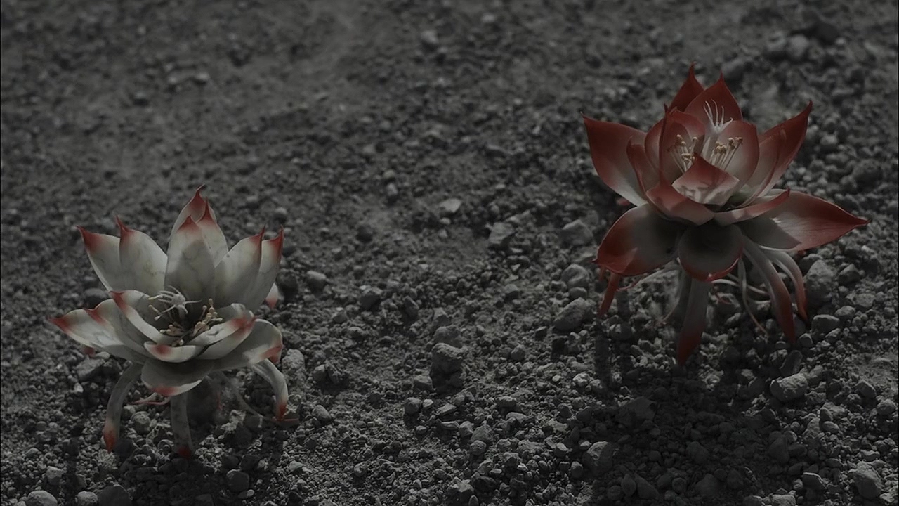 沙尼达尔之花剧照的剧照