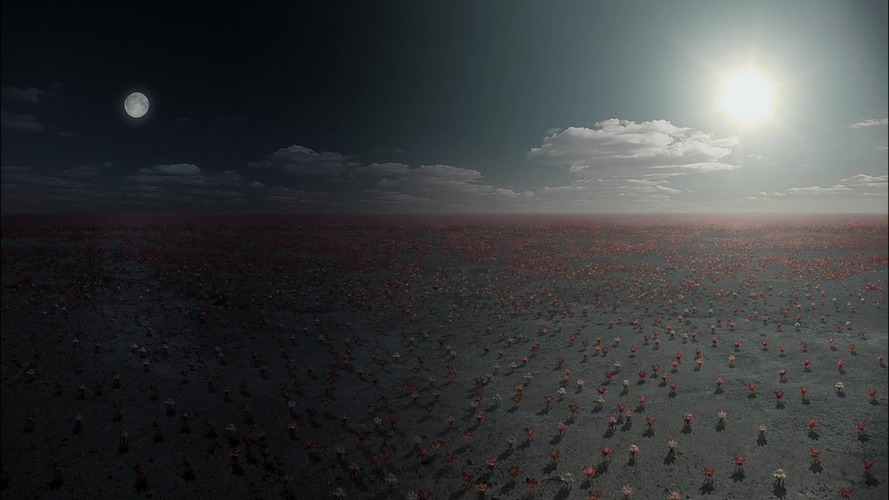 沙尼达尔之花剧照的剧照