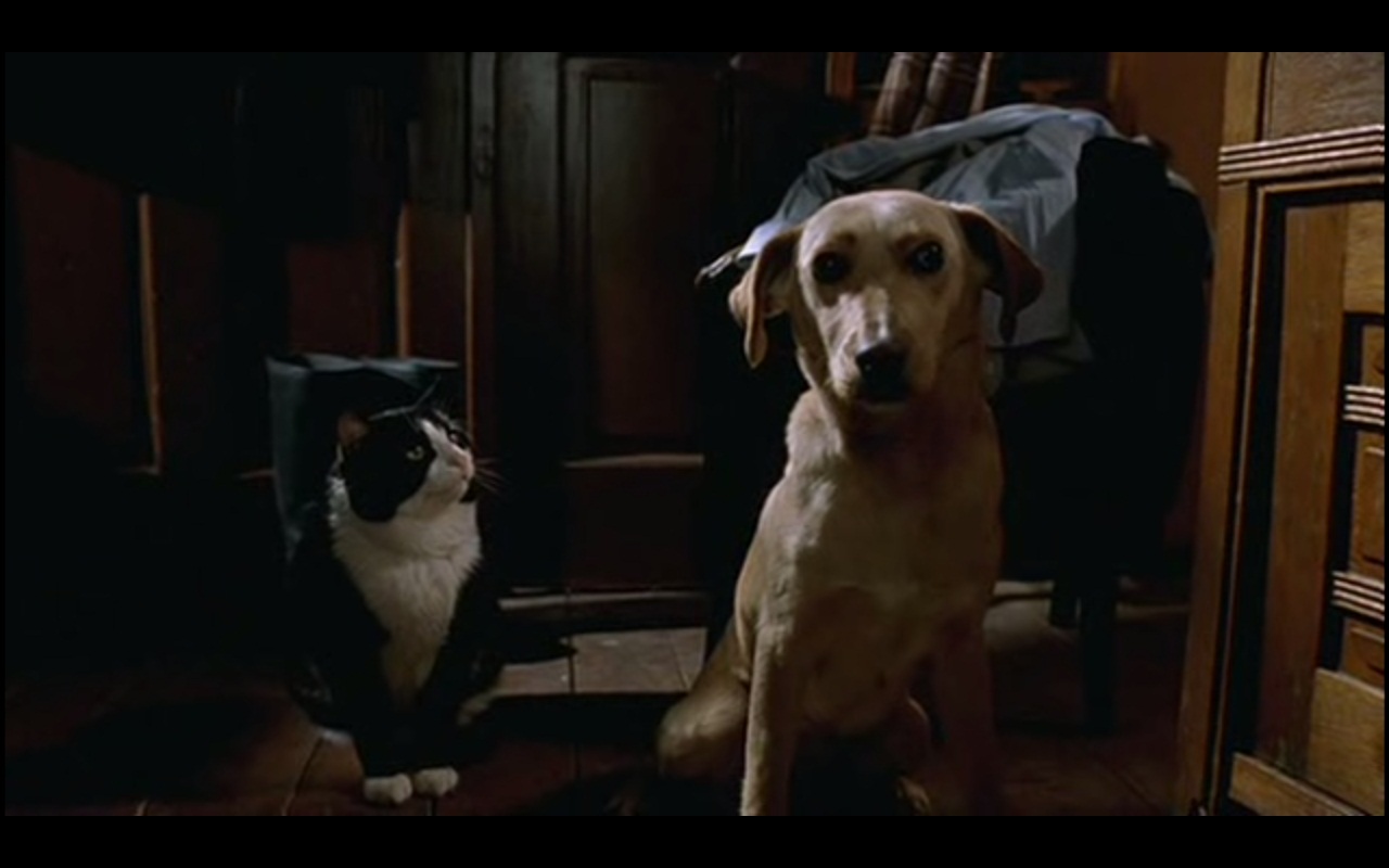 生命是个奇迹剧照的剧照