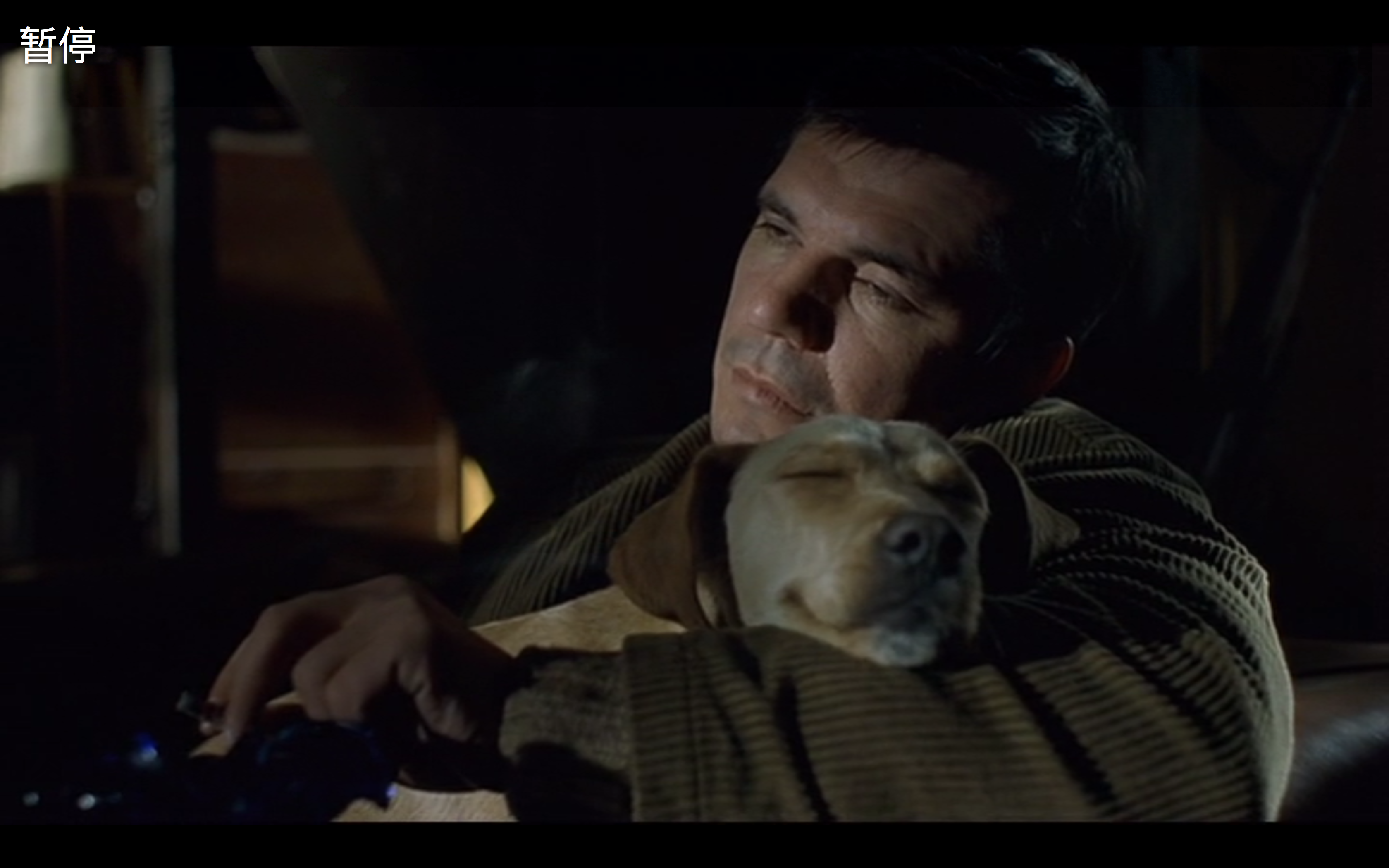 生命是个奇迹剧照的剧照