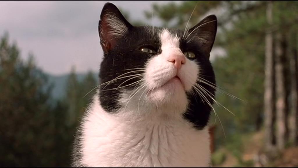 生命是个奇迹剧照的剧照