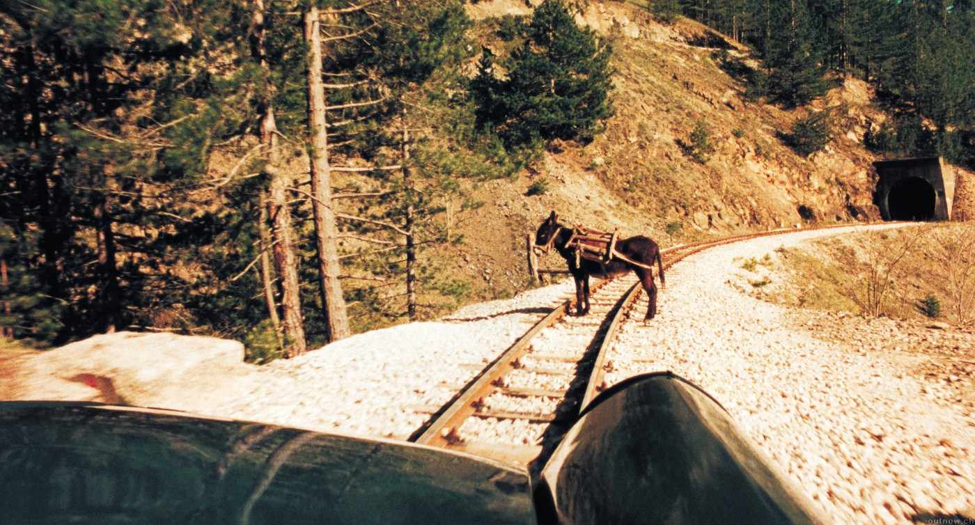 生命是个奇迹剧照的剧照