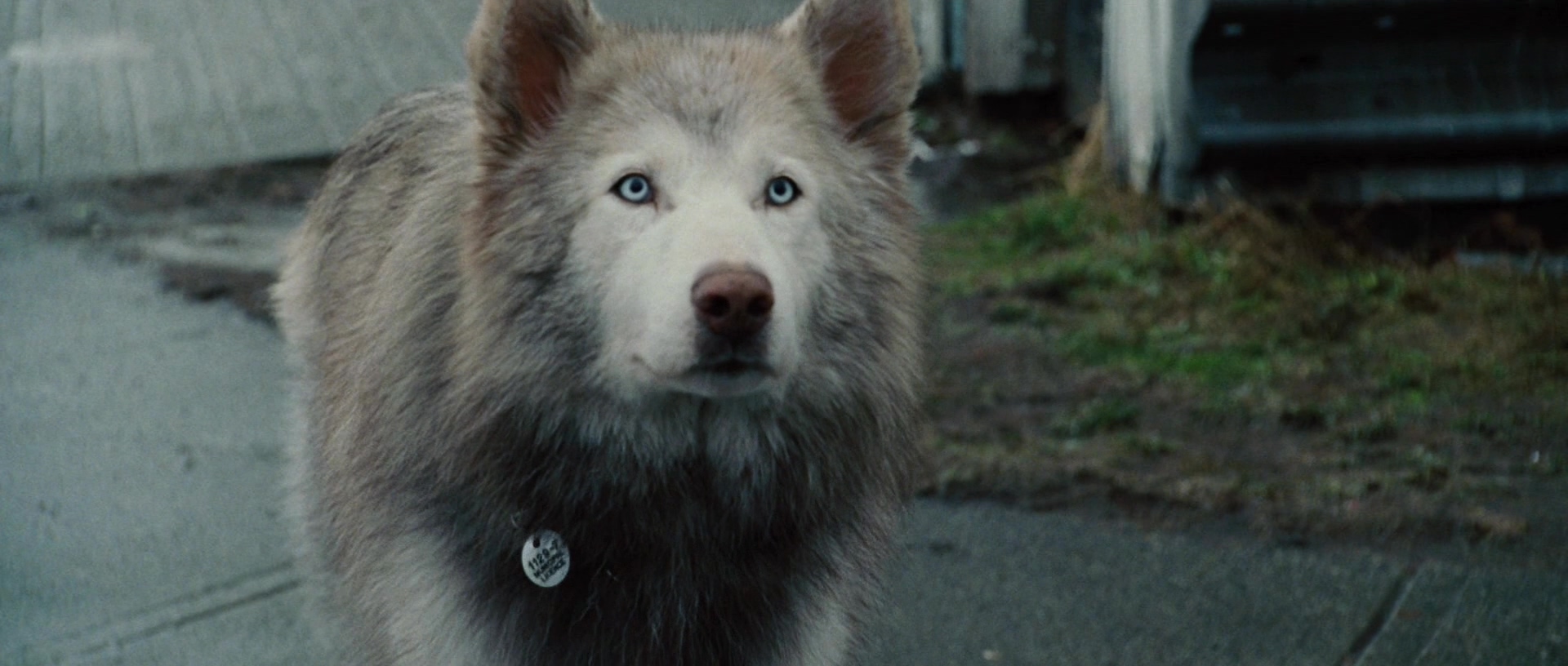 乘客剧照的剧照