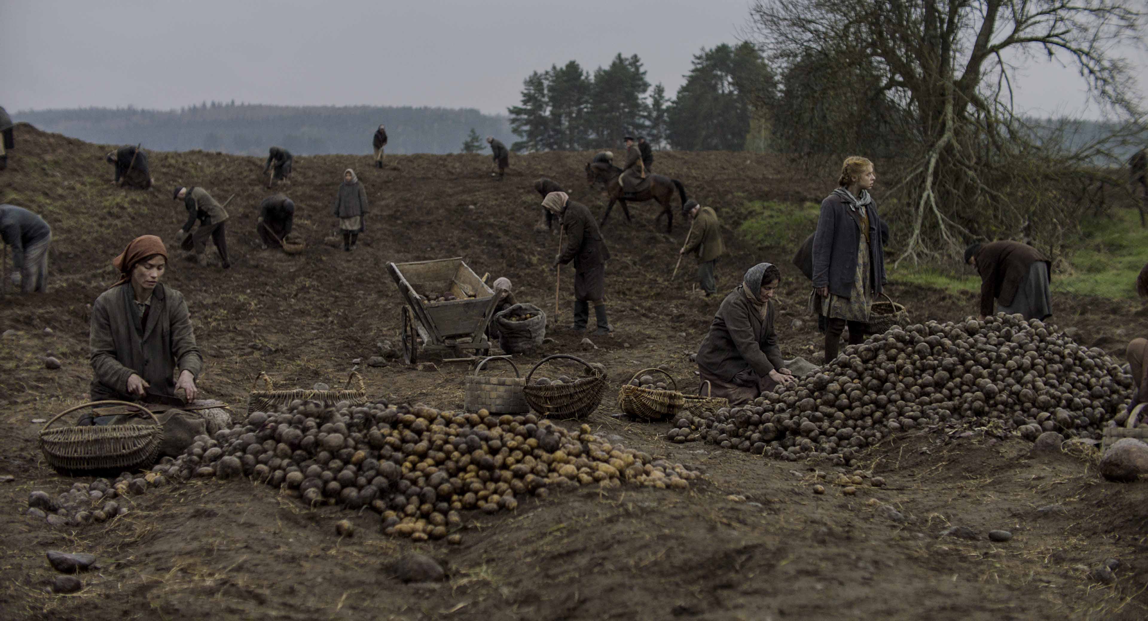 雪中灰剧照的剧照