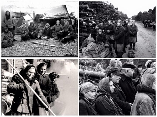 雪中灰剧照的剧照