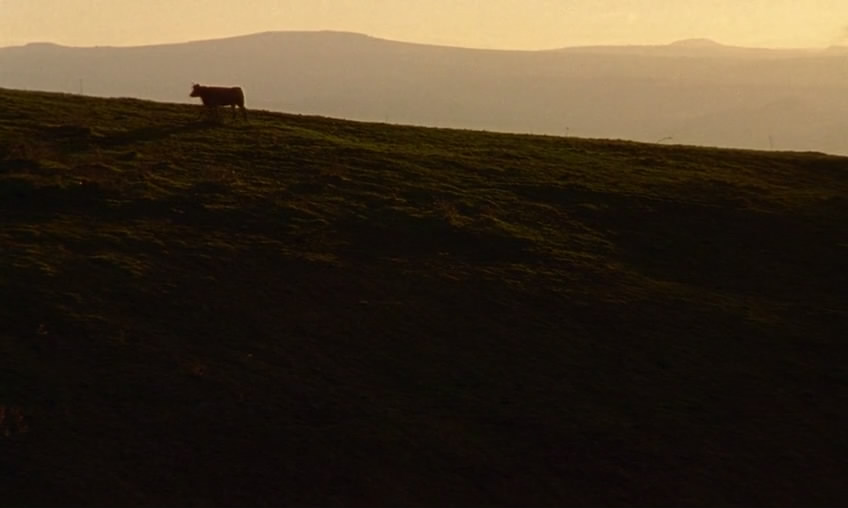 山村犹有读书声剧照的剧照