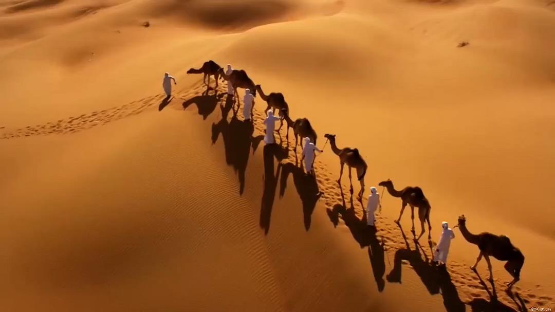 阿拉丁历险记剧照的剧照