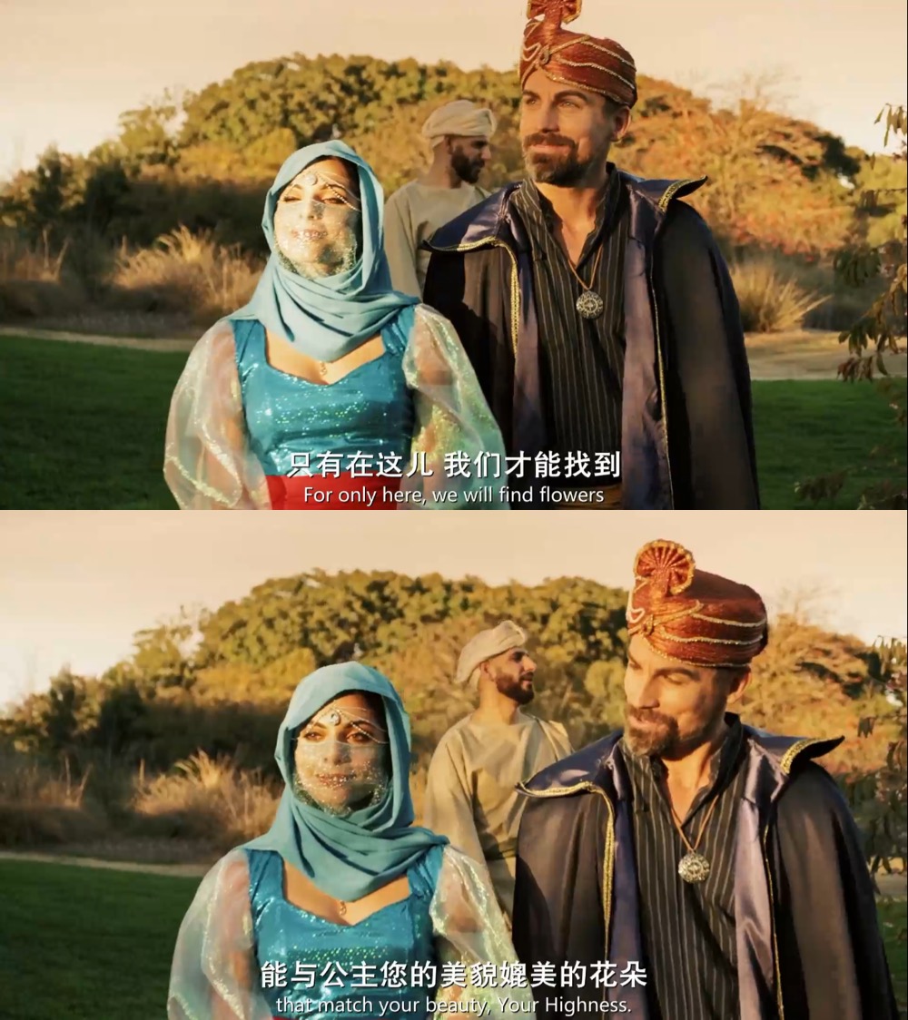 阿拉丁历险记剧照的剧照