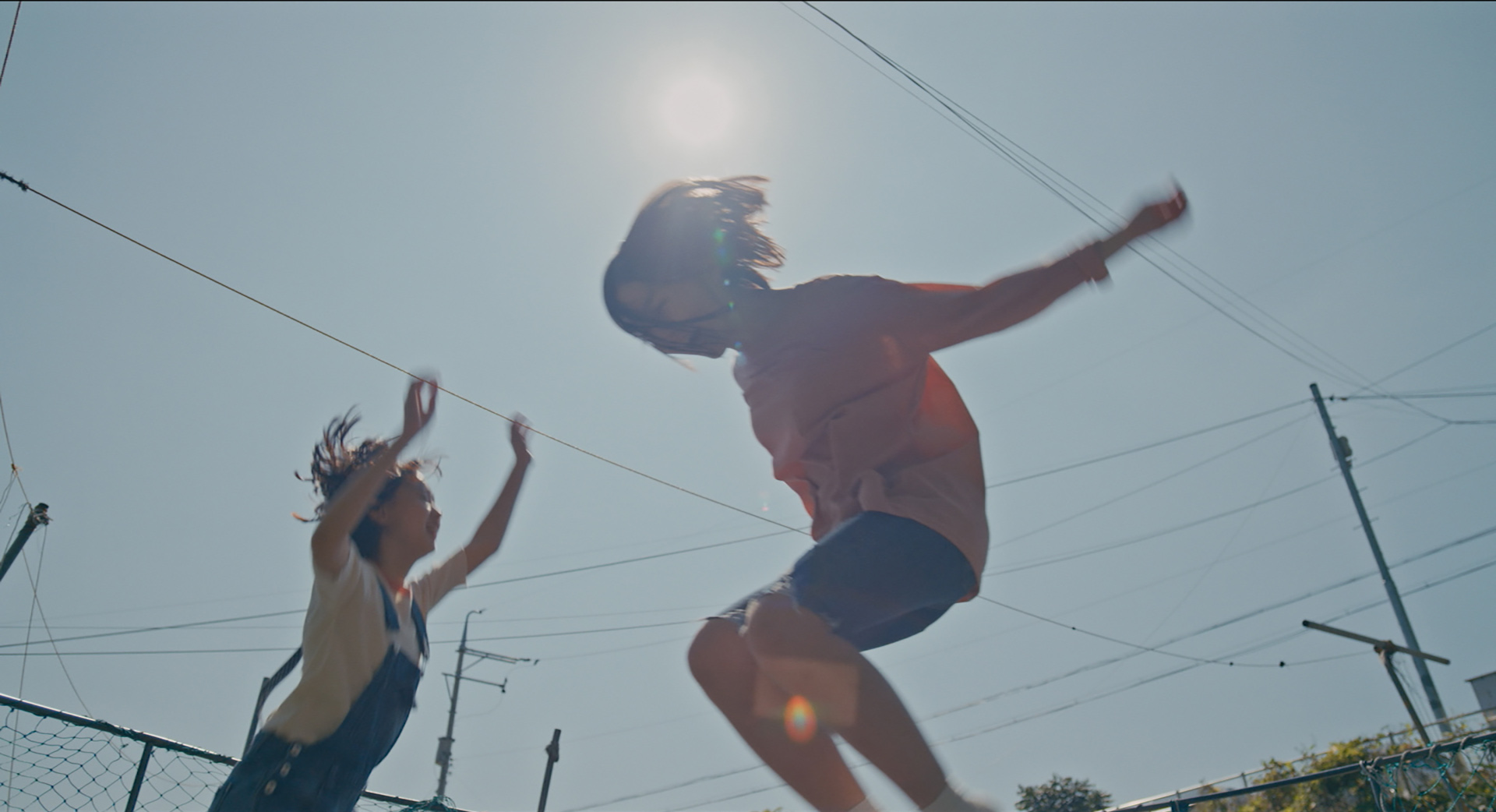 蜂鸟剧照的剧照