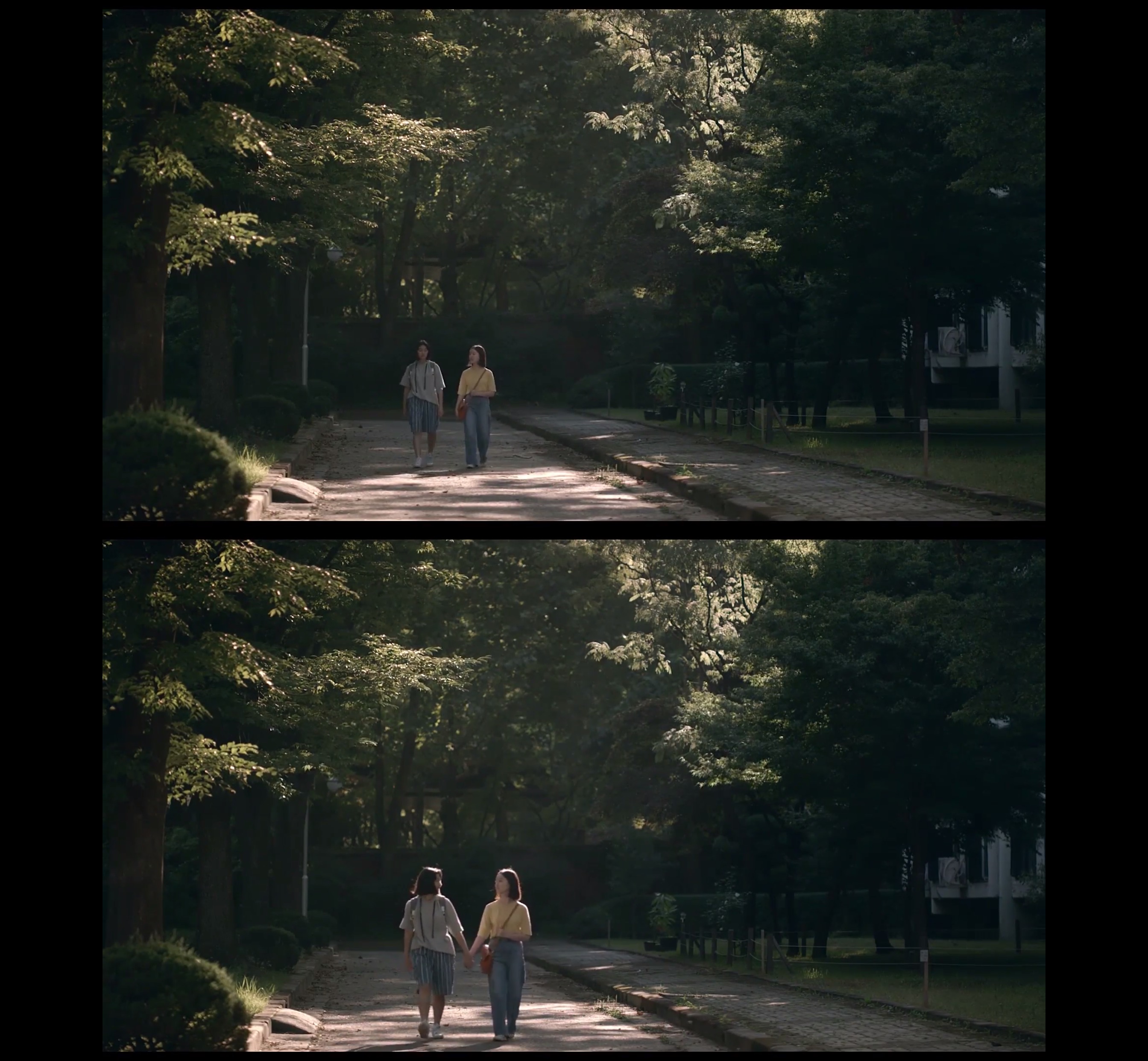 蜂鸟剧照的剧照