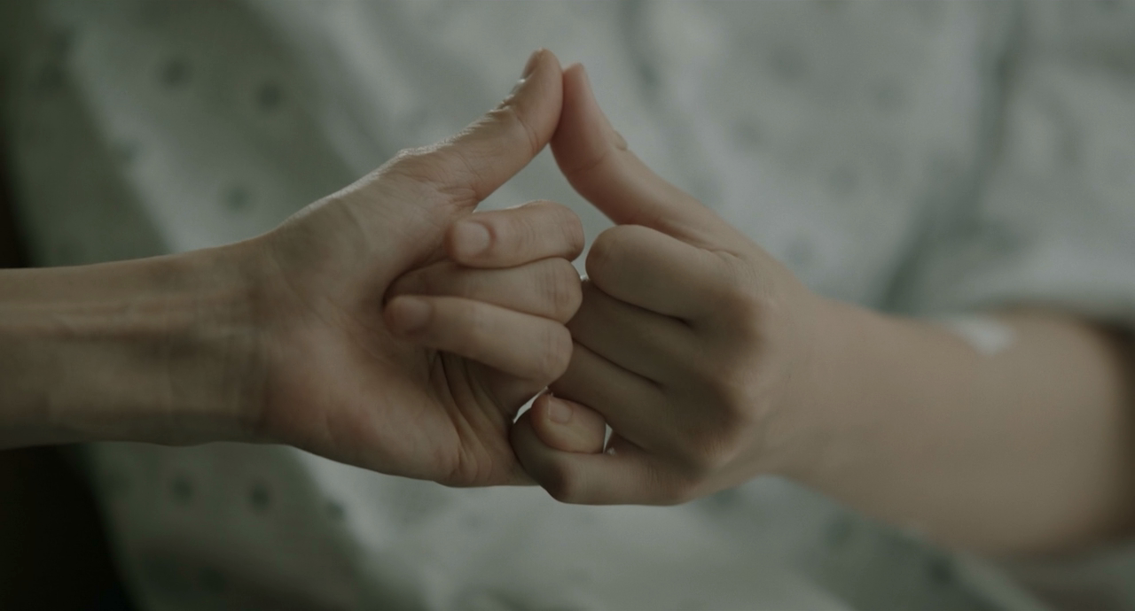 蜂鸟剧照的剧照