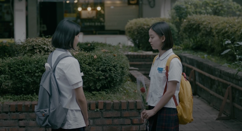 蜂鸟剧照的剧照