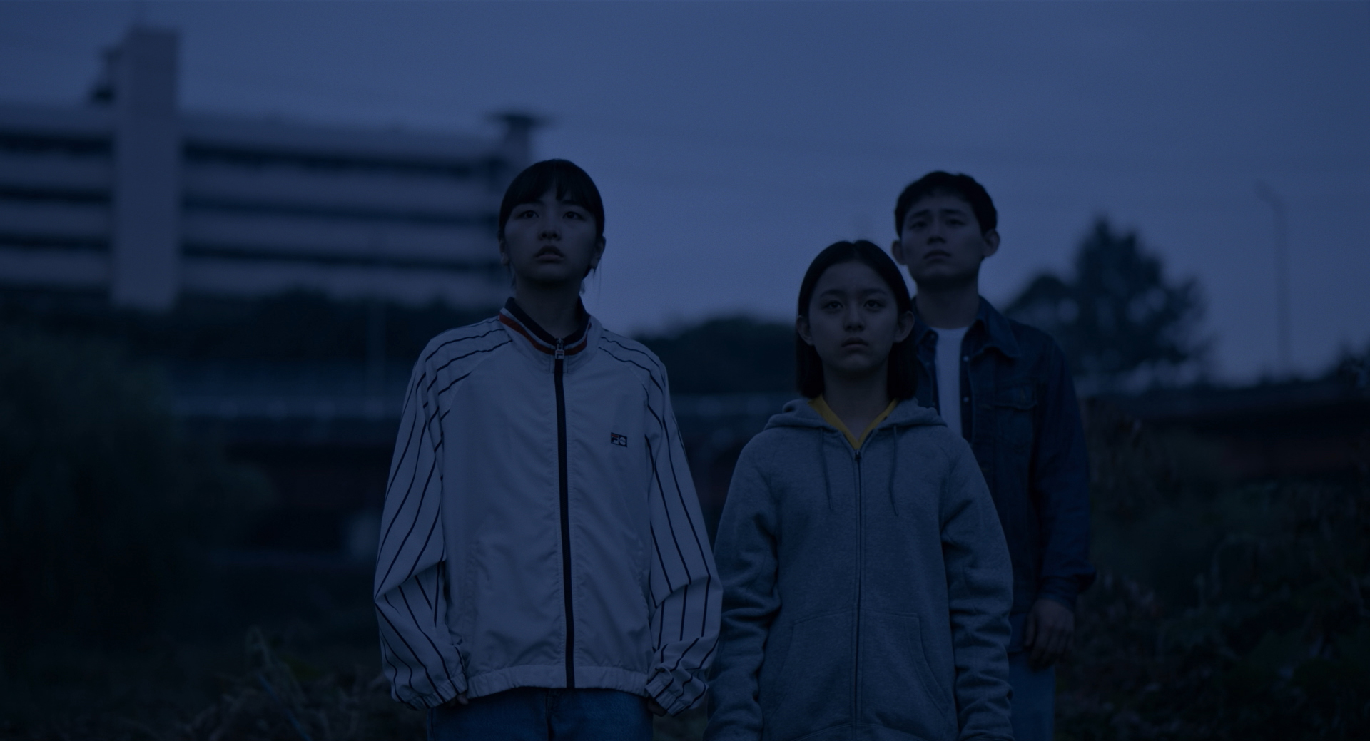 蜂鸟剧照的剧照