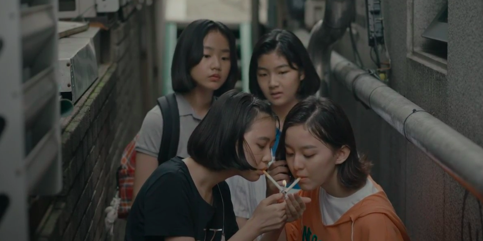 蜂鸟剧照的剧照