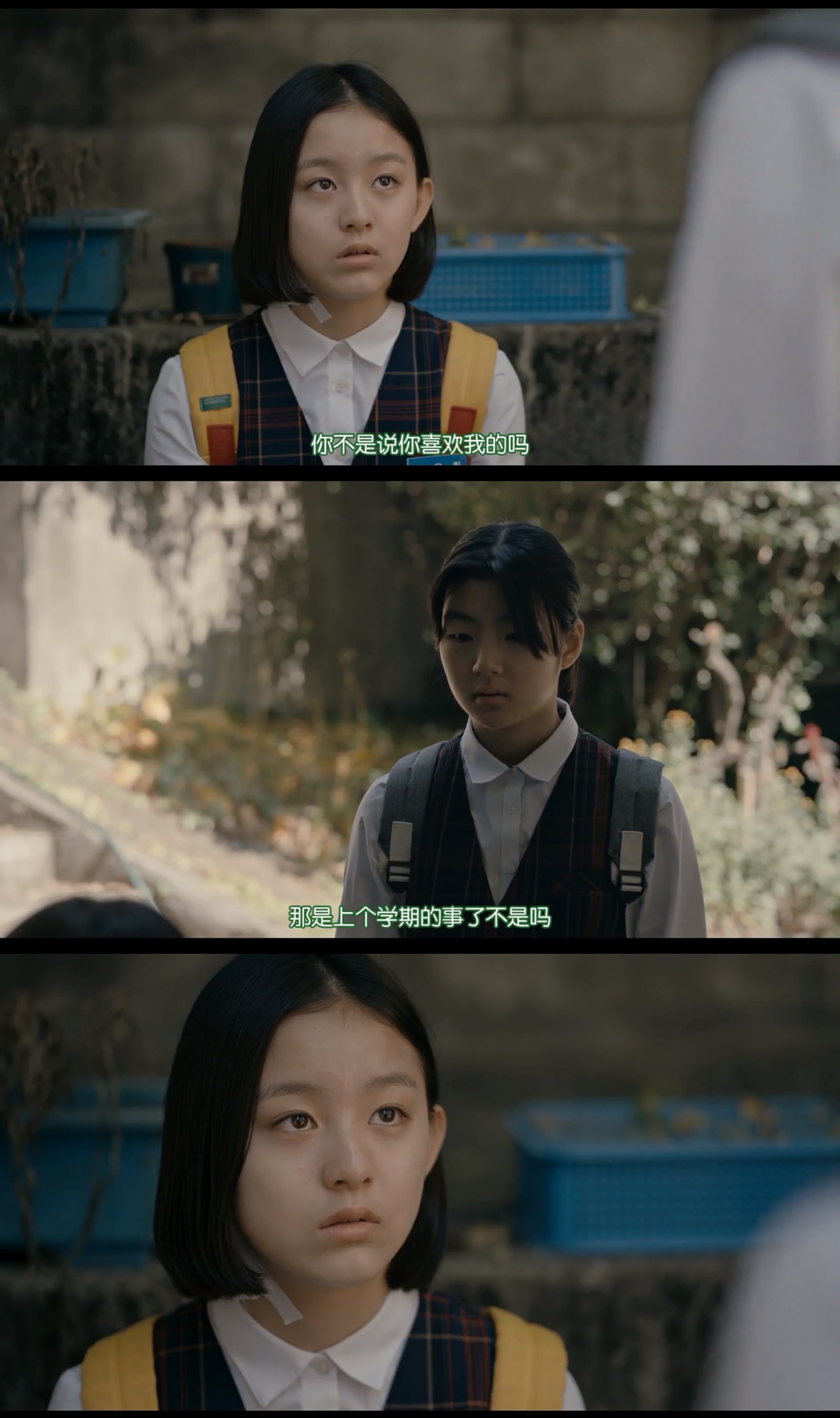 蜂鸟剧照的剧照