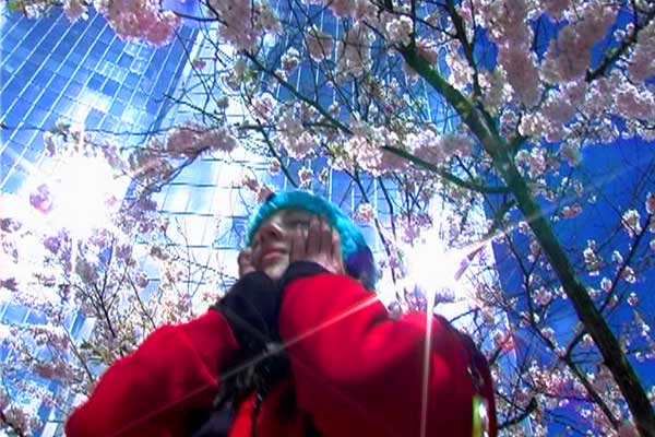 距离五万七千公里剧照的剧照