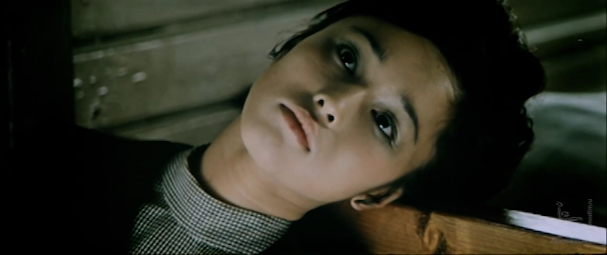 从戈壁滩到兴安岭剧照的剧照