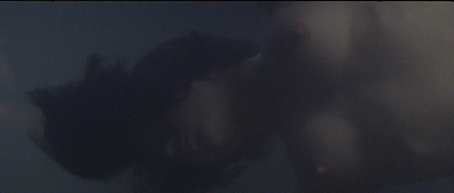 处女之死剧照的剧照