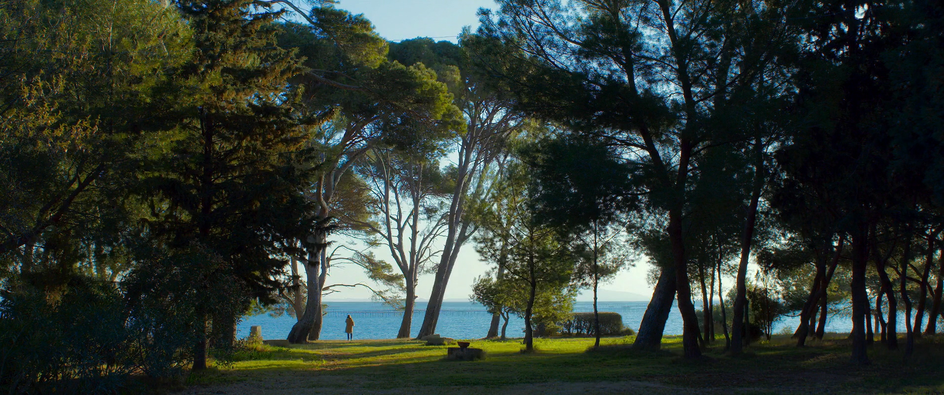 再见钟情剧照的剧照