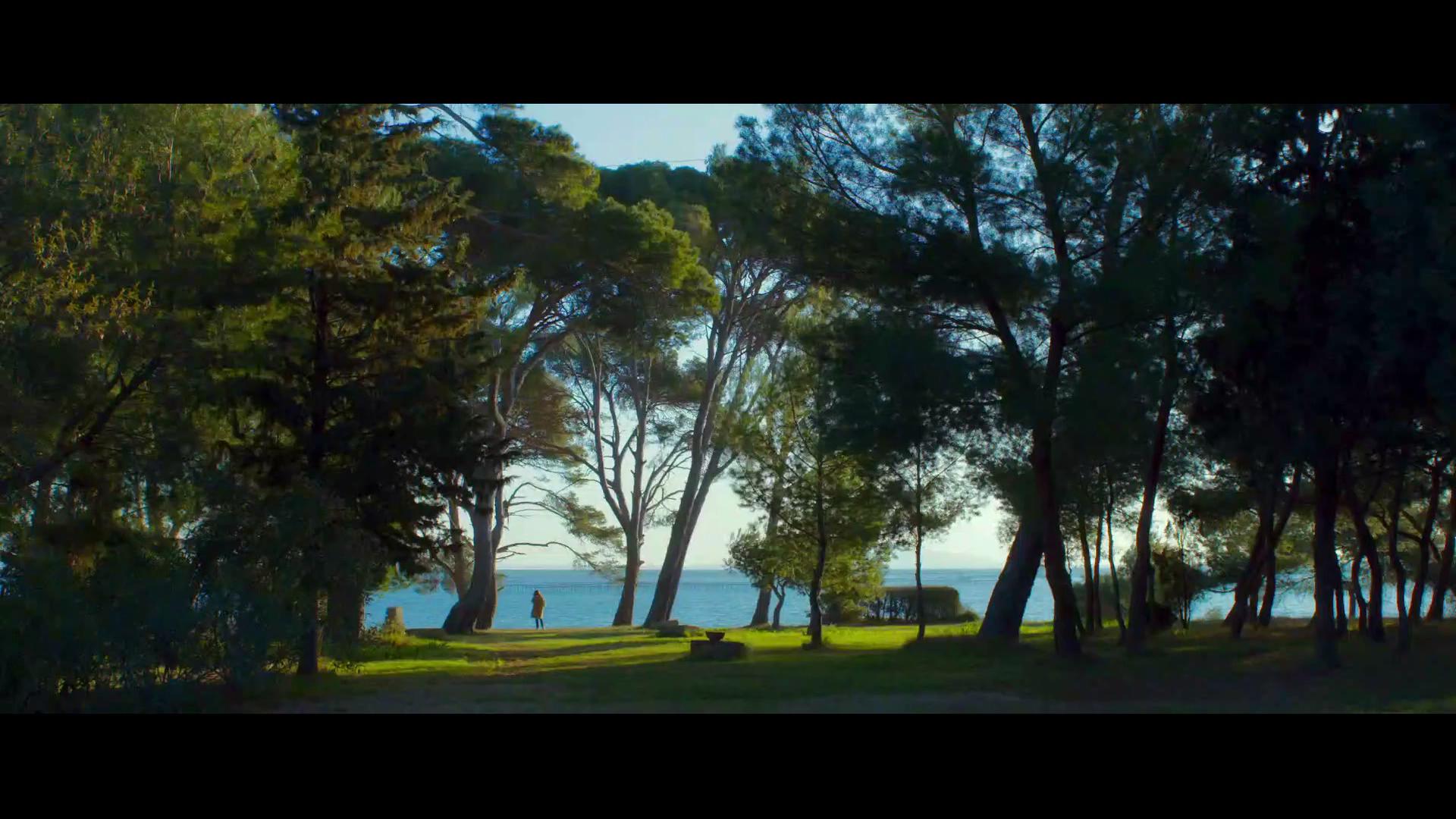 再见钟情剧照的剧照