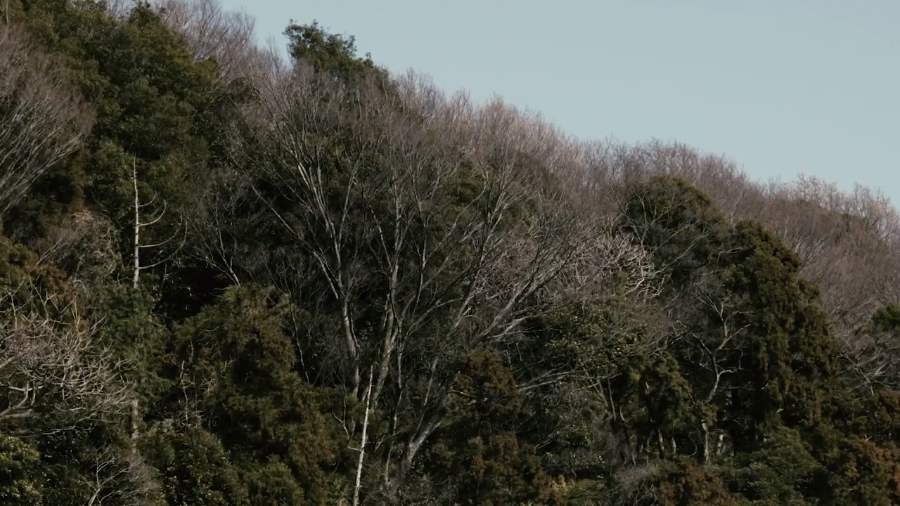 吸血粘土剧照的剧照