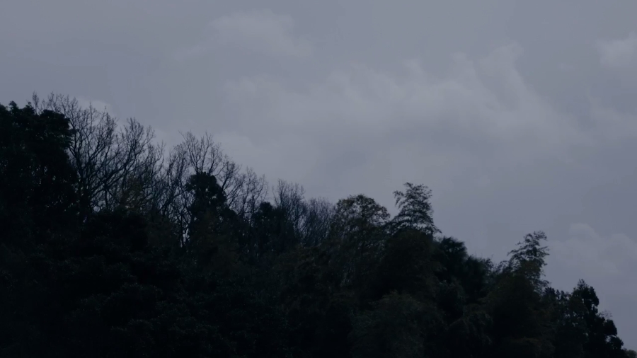 吸血粘土剧照的剧照