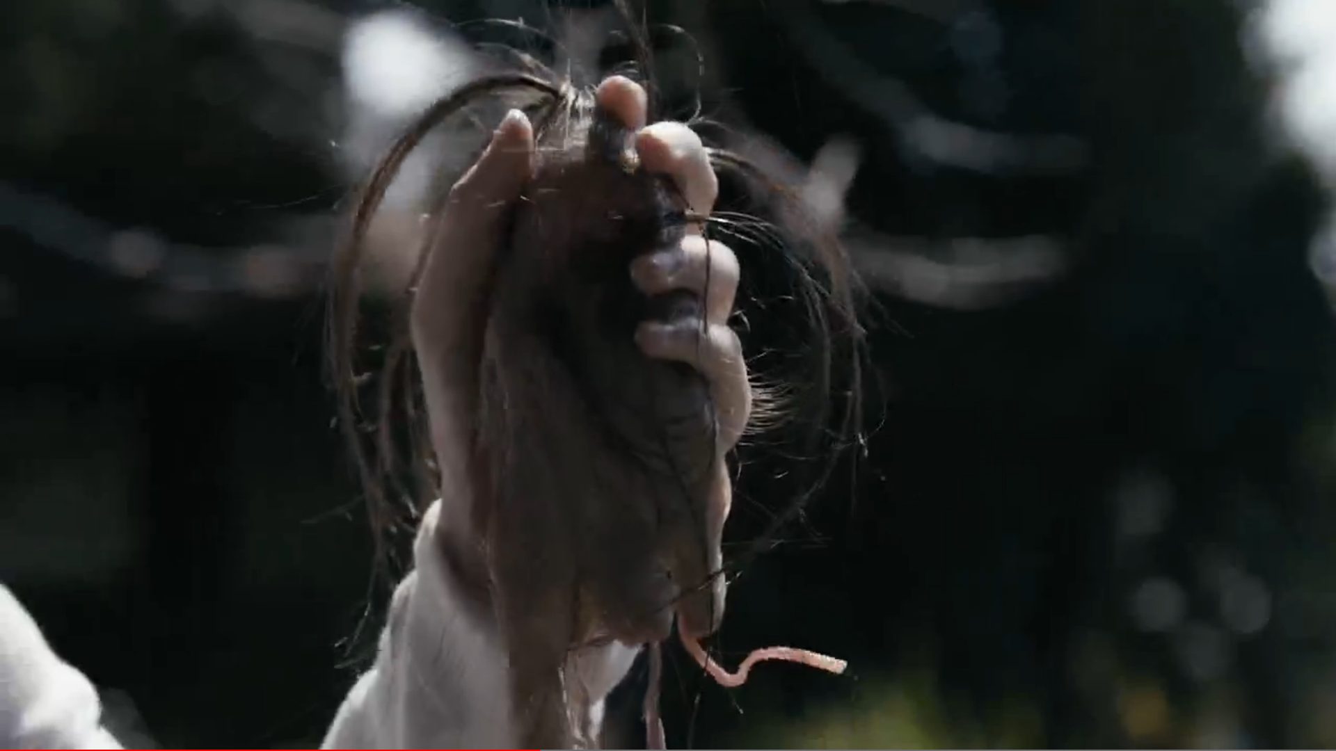 吸血粘土剧照的剧照