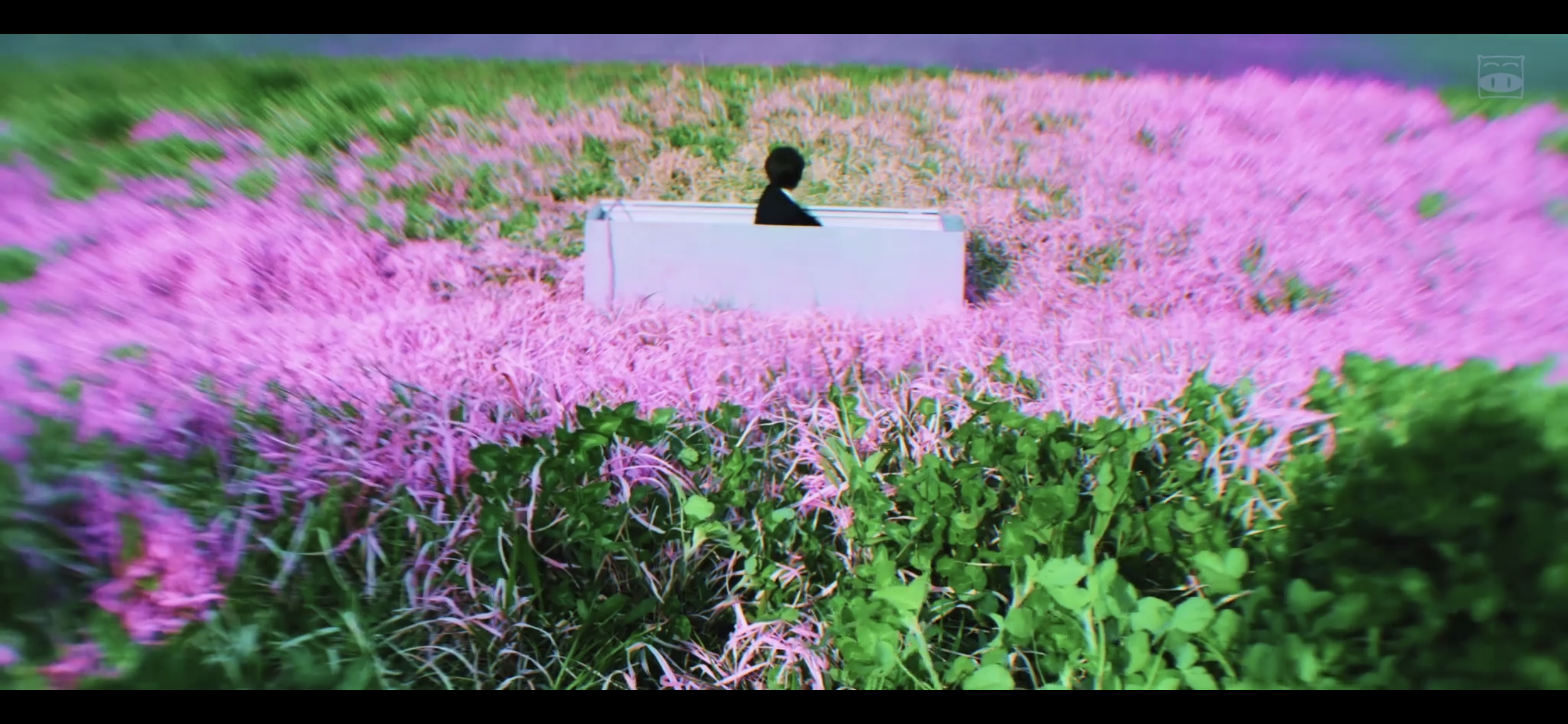 我们是小僵尸剧照的剧照