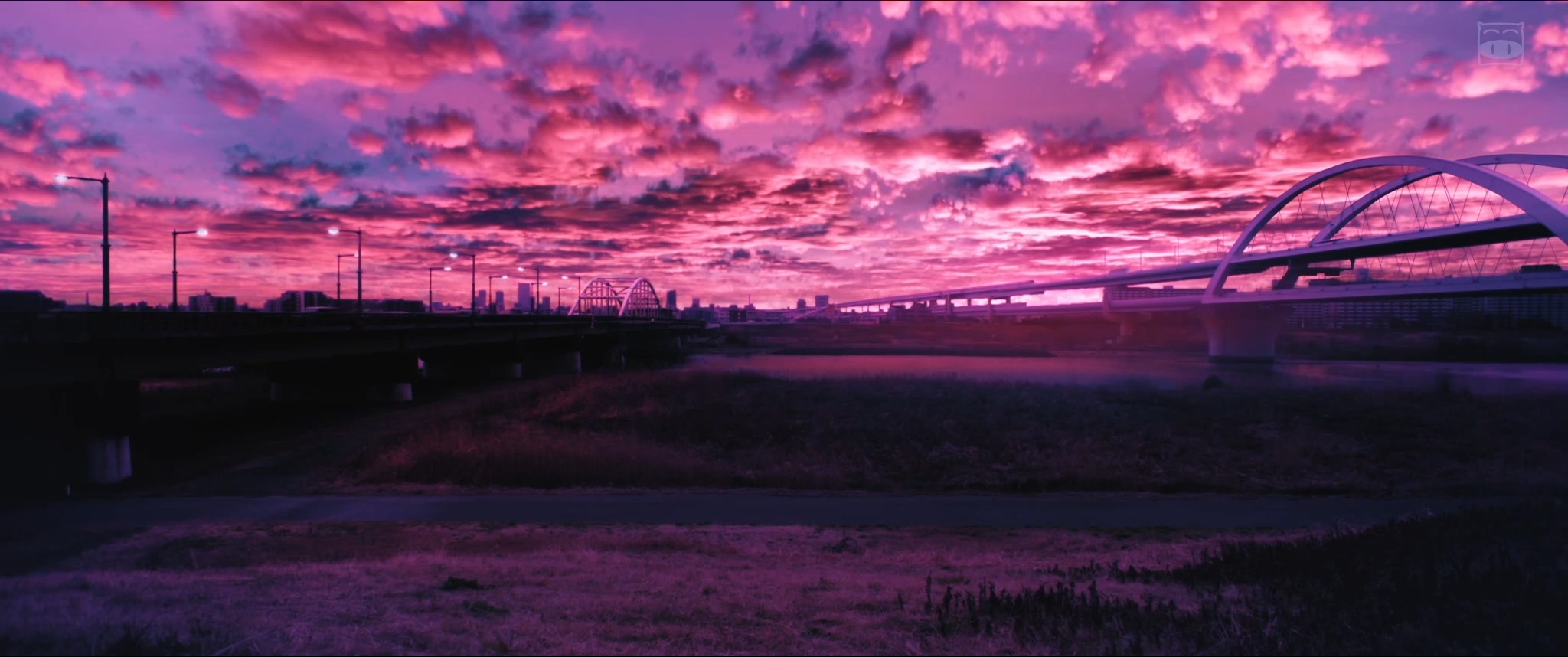 我们是小僵尸剧照的剧照