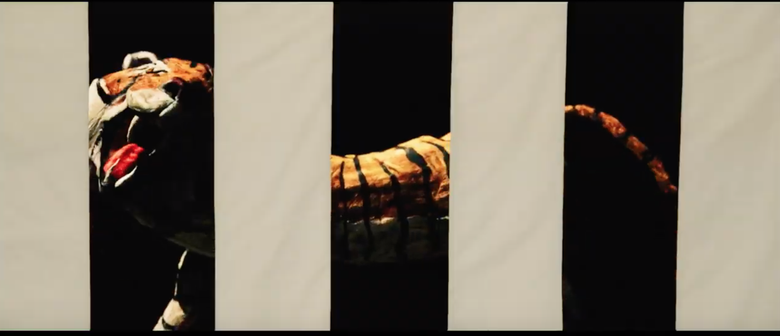 我们是小僵尸剧照的剧照