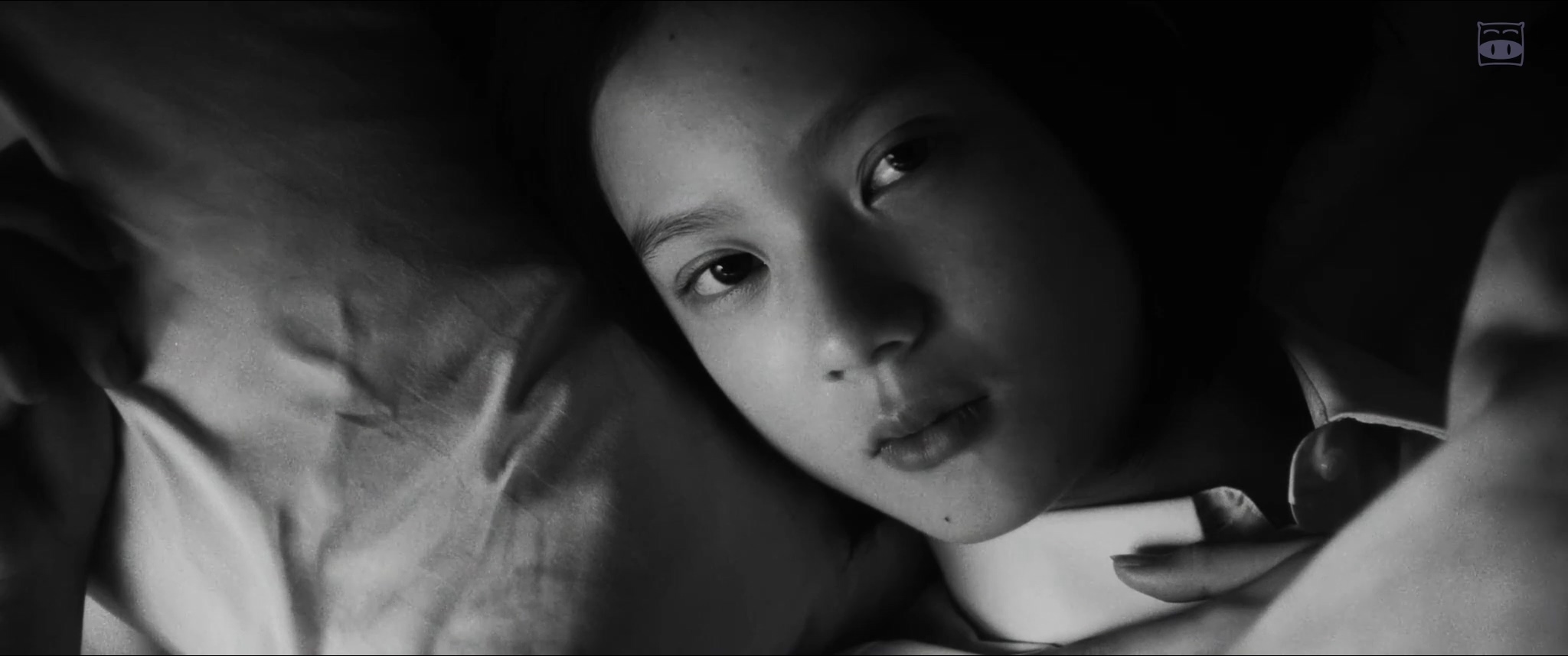 我们是小僵尸剧照的剧照