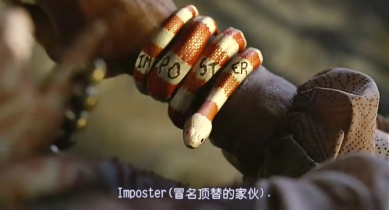 雷蒙·斯尼奇的不幸历险剧照的剧照