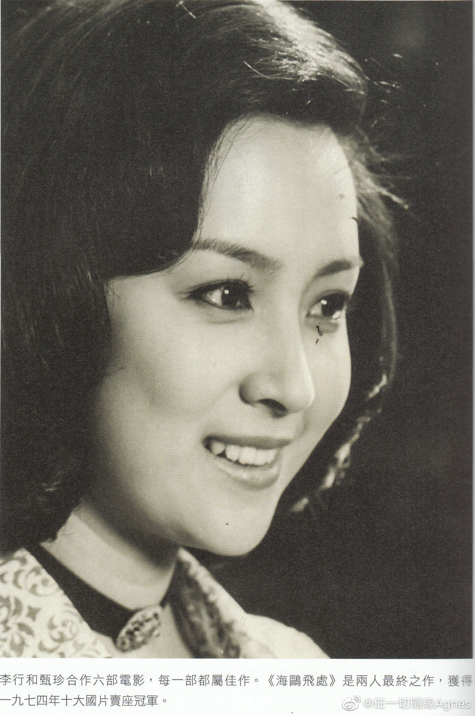 海鸥飞处剧照的剧照