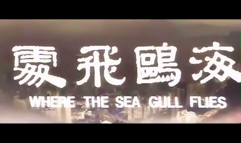 海鸥飞处剧照的剧照
