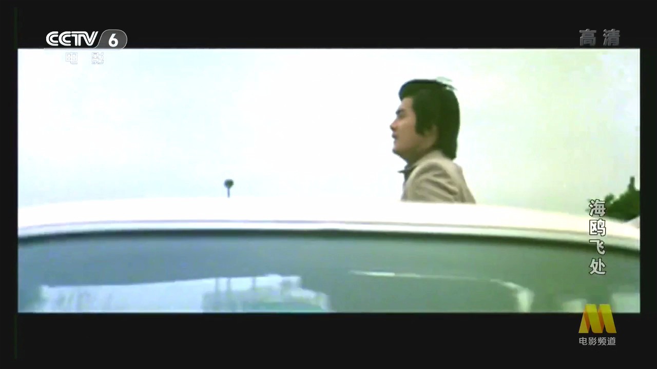 海鸥飞处剧照的剧照