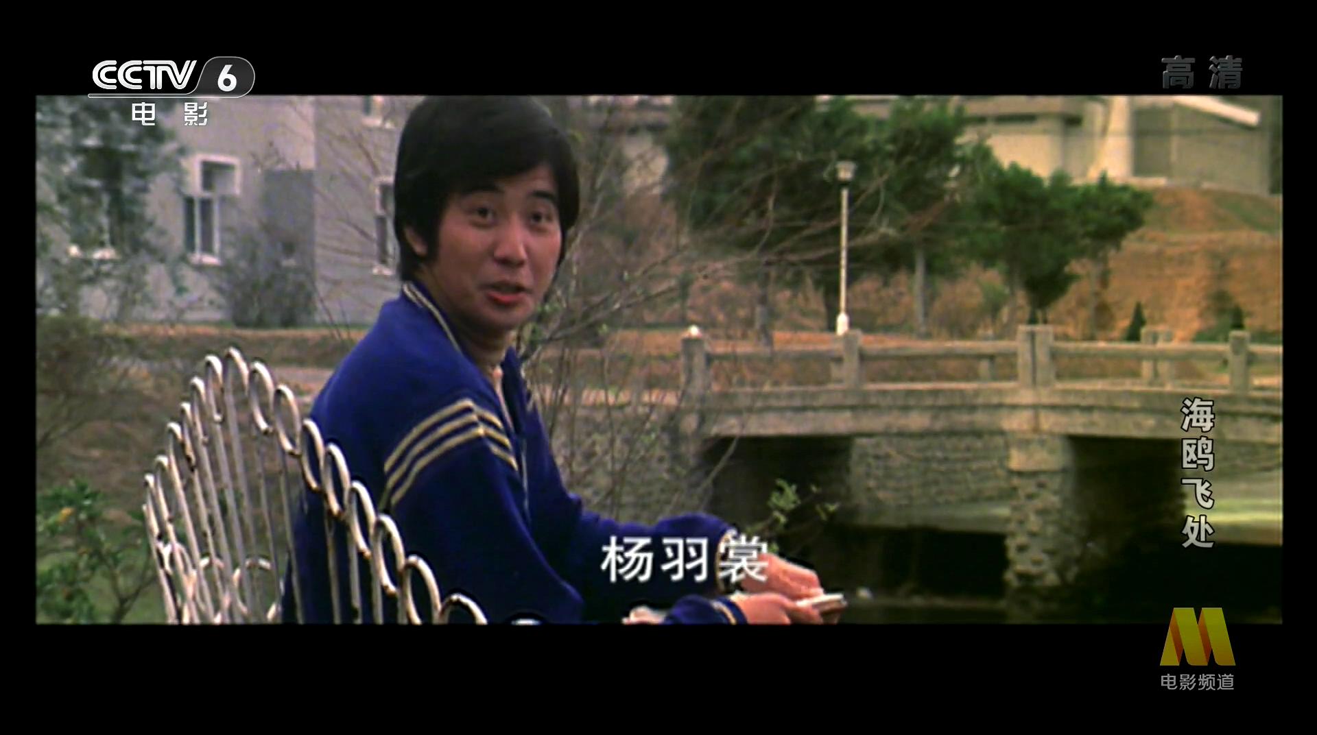 海鸥飞处剧照的剧照