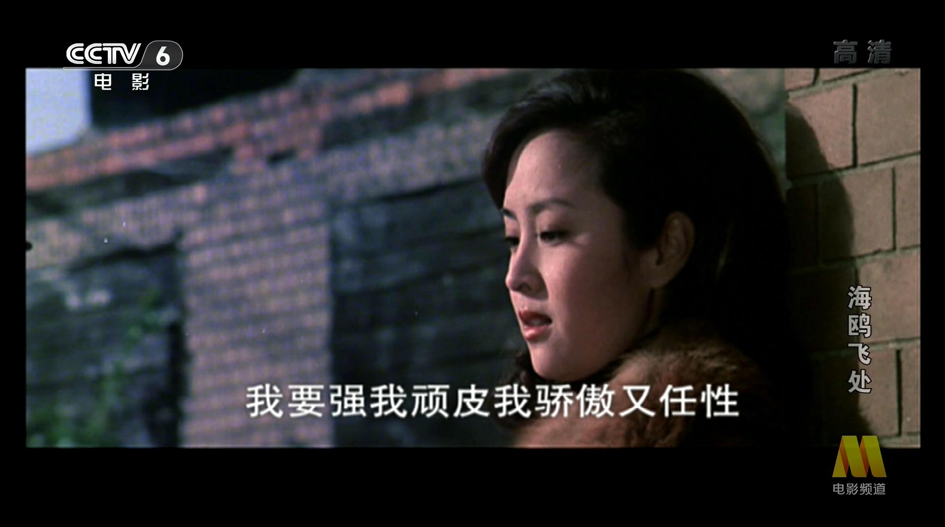 海鸥飞处剧照的剧照