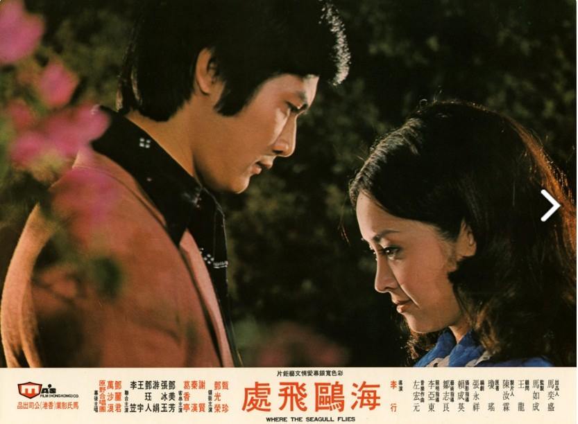 海鸥飞处剧照的剧照