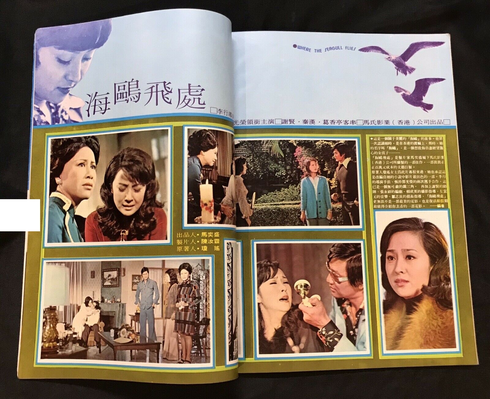 海鸥飞处剧照的剧照