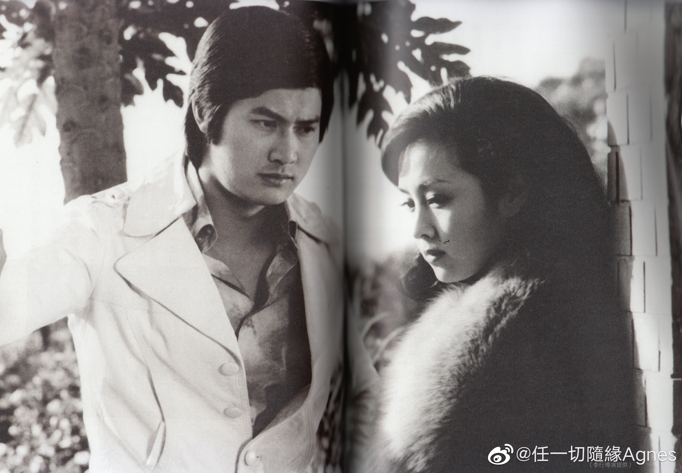 海鸥飞处剧照的剧照