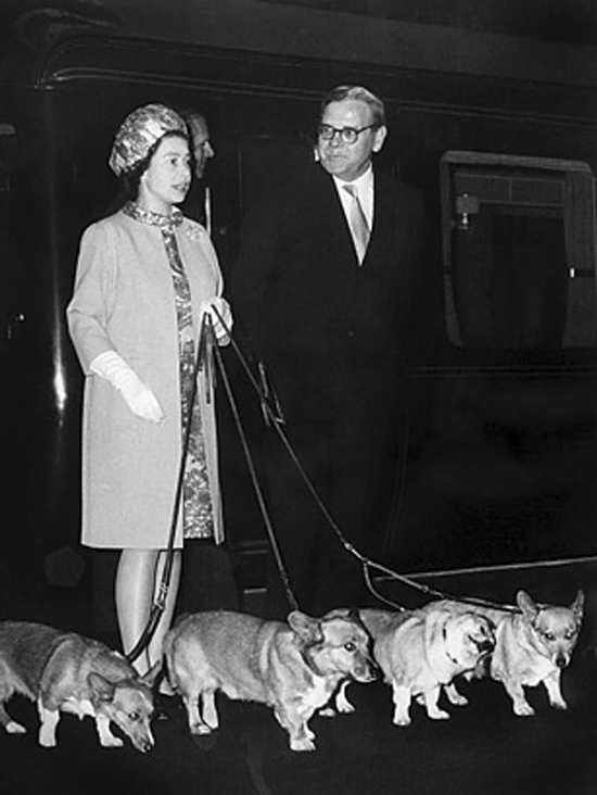 女王剧照的剧照