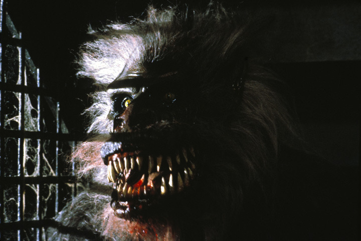 鬼作秀剧照的剧照