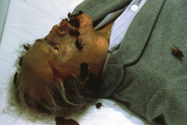 鬼作秀剧照的剧照