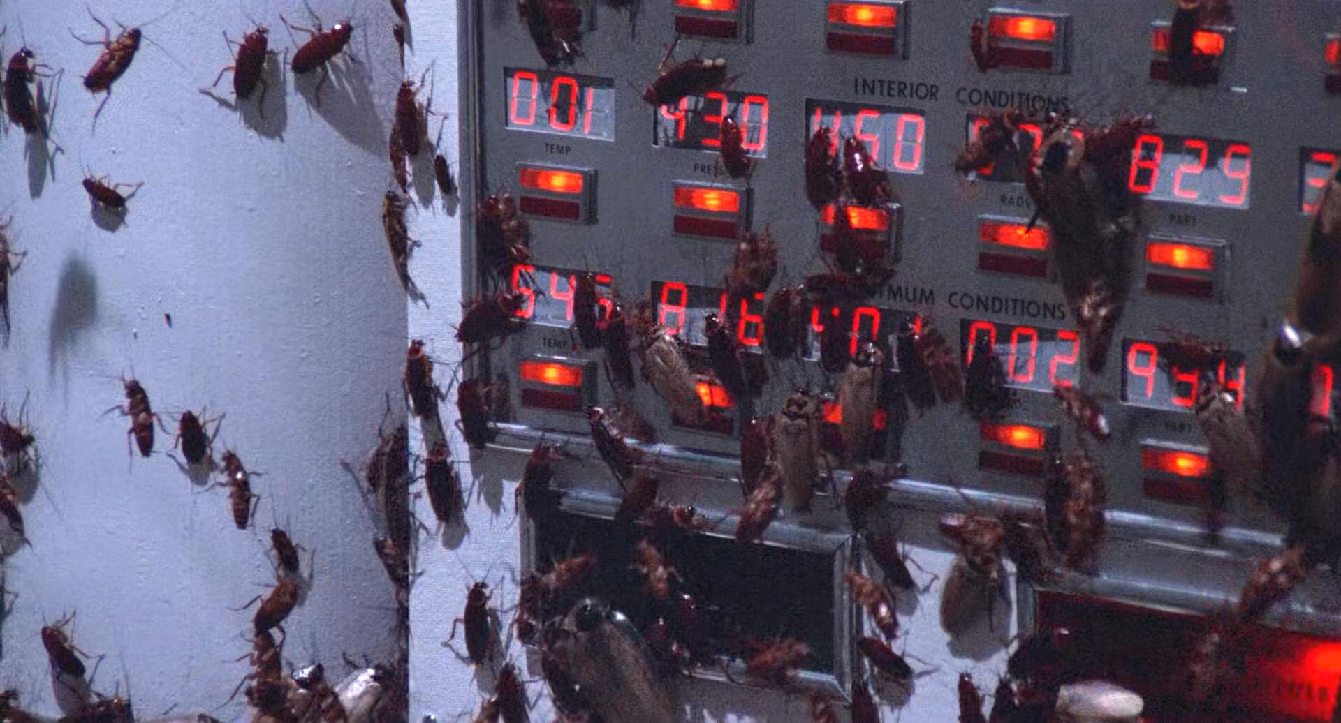 鬼作秀剧照的剧照