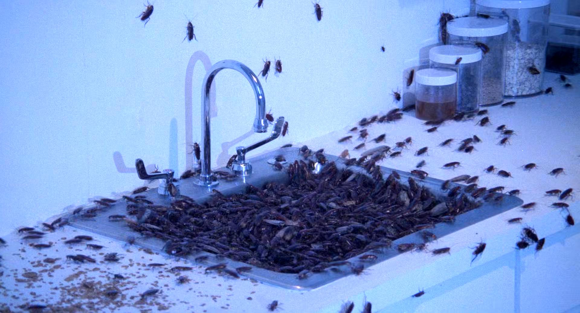 鬼作秀剧照的剧照