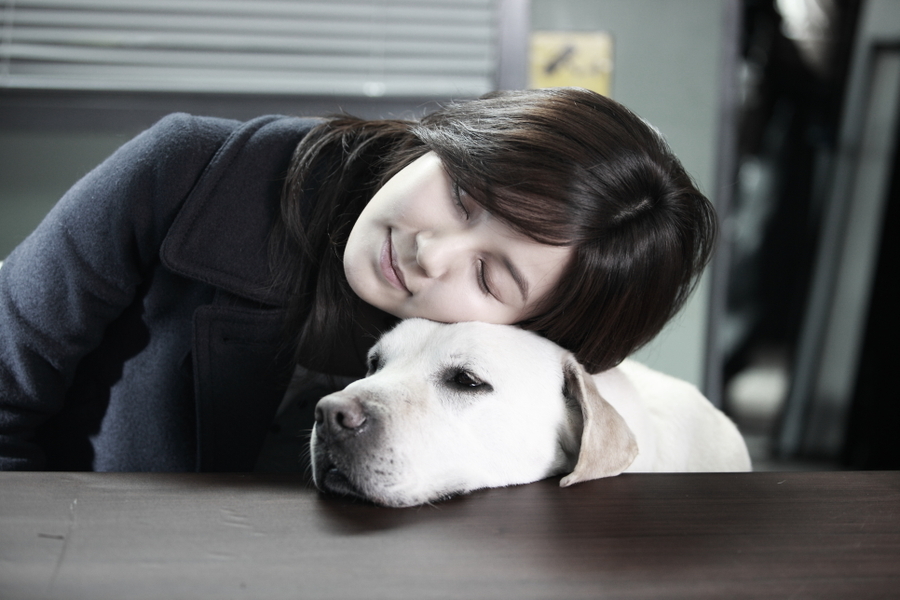 盲证剧照的剧照